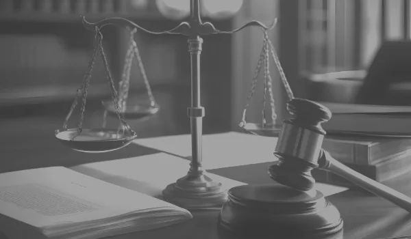 Litigation Partner Litigation Partner